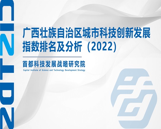 操丰满骚逼【成果发布】广西壮族自治区城市科技创新发展指数排名及分析（2022）